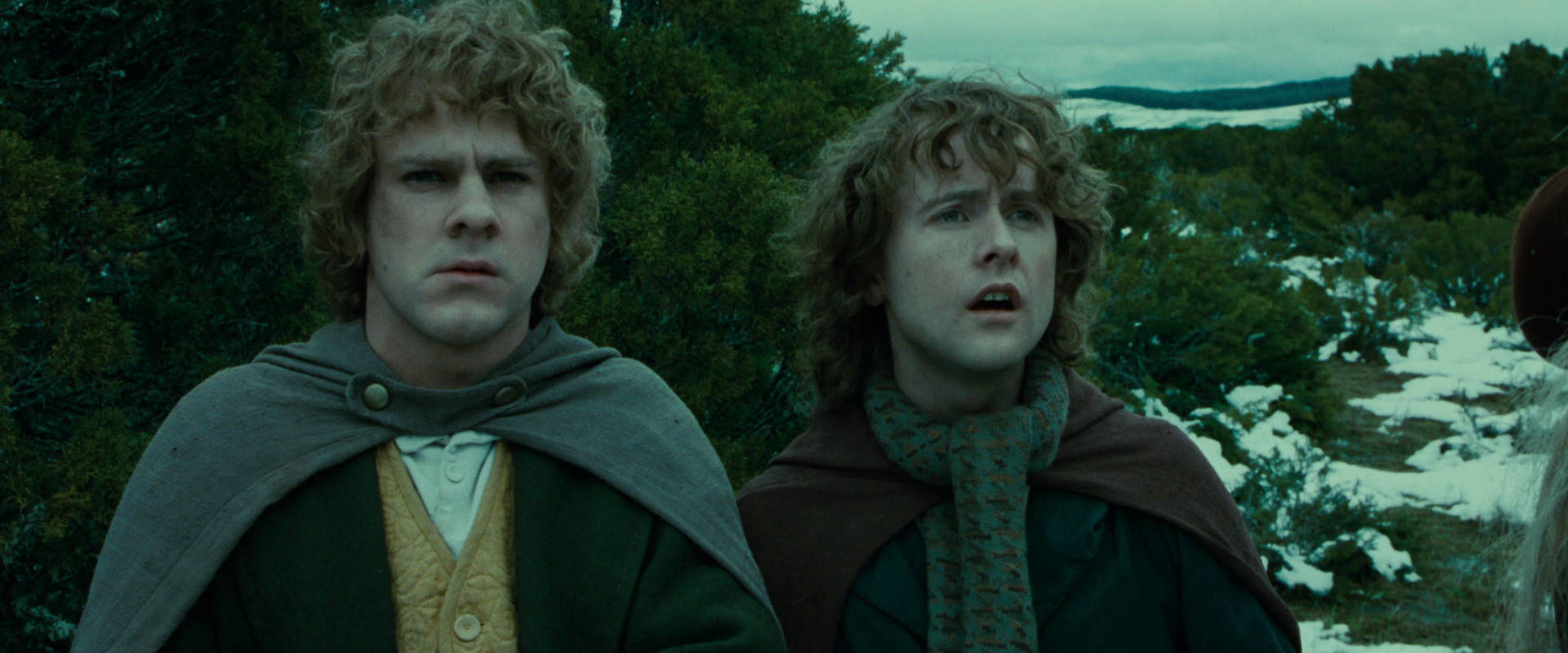 The Lord of the Rings: The Fellowship of the Ring (2001) screencap 7758