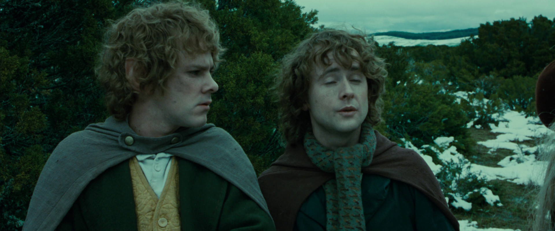 The Lord of the Rings: The Fellowship of the Ring (2001) movie still 7759