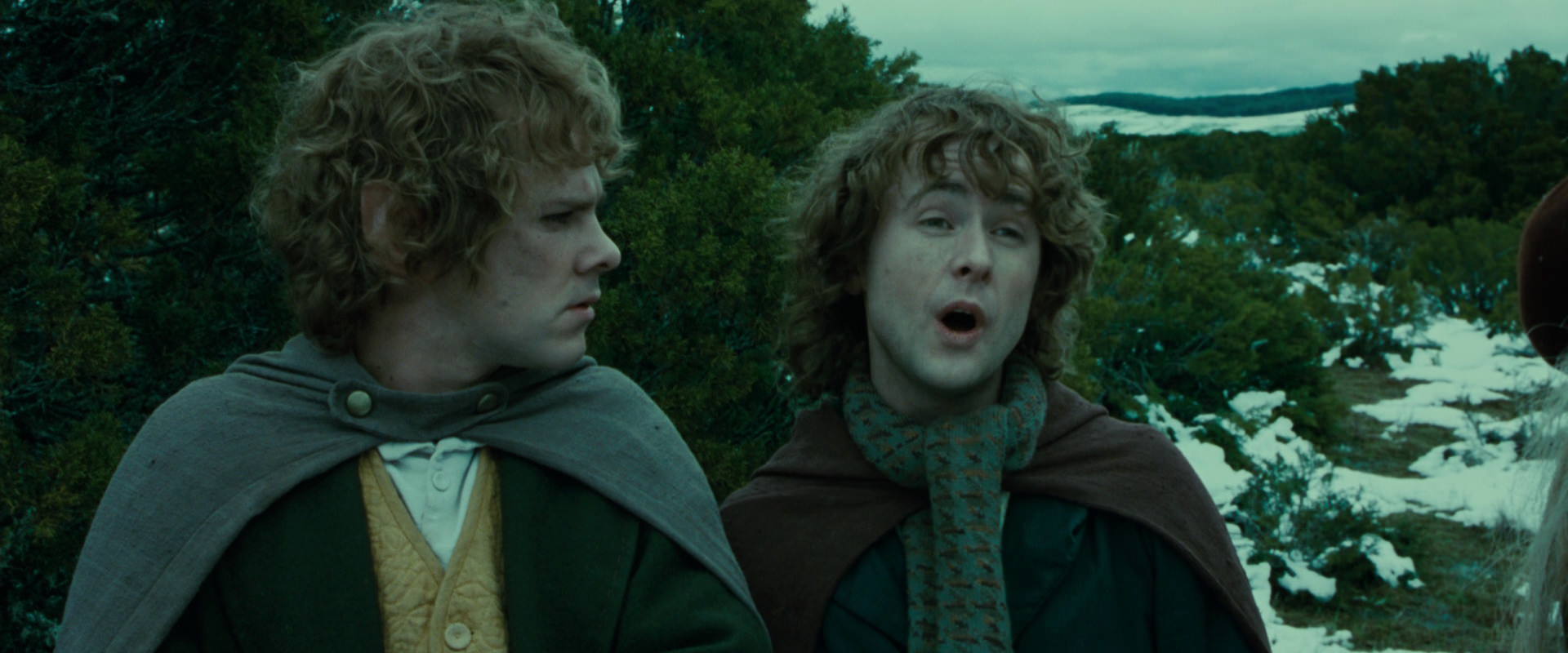 The Lord of the Rings: The Fellowship of the Ring (2001) HD screenshot 7760
