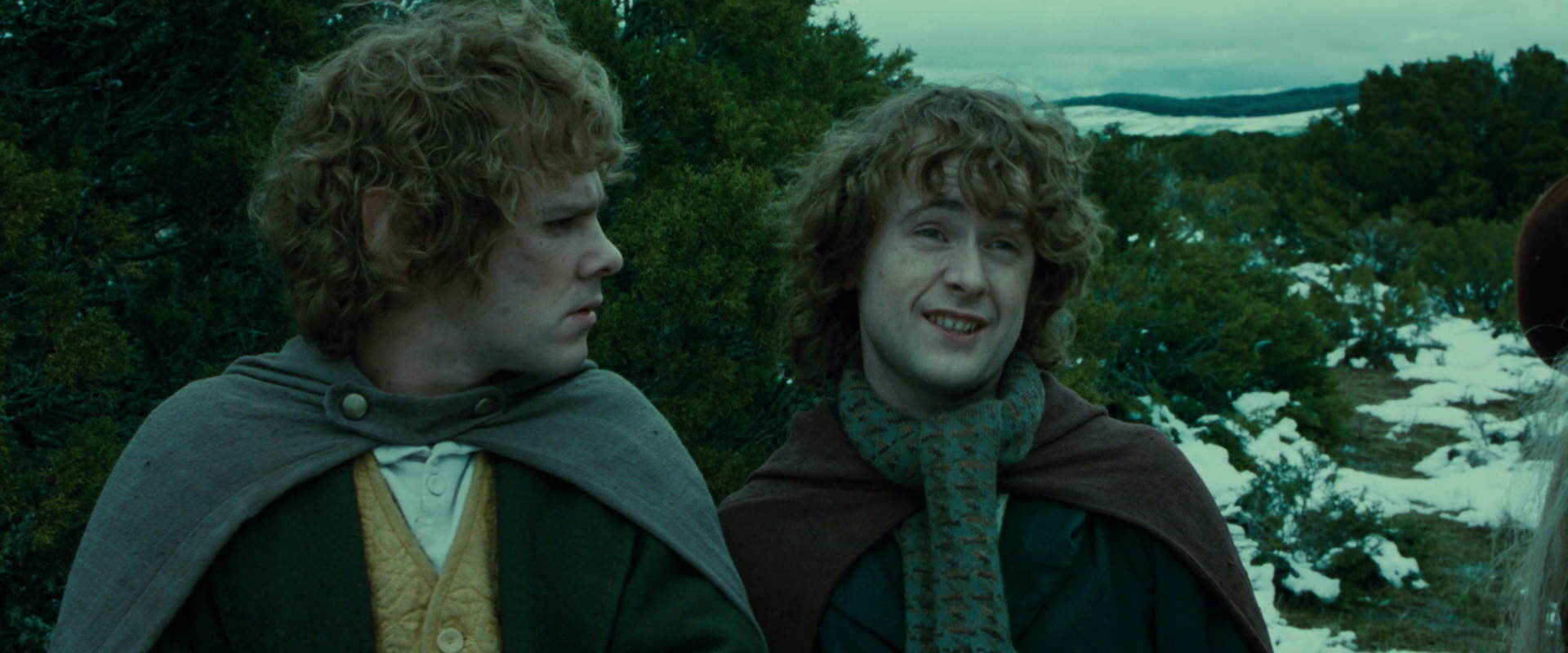The Lord of the Rings: The Fellowship of the Ring (2001) screencap 7761