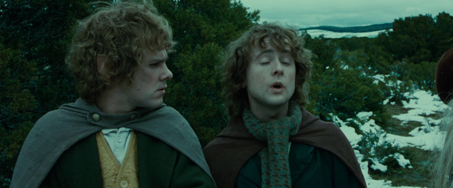 The Lord of the Rings: The Fellowship of the Ring (2001) movie still 7762