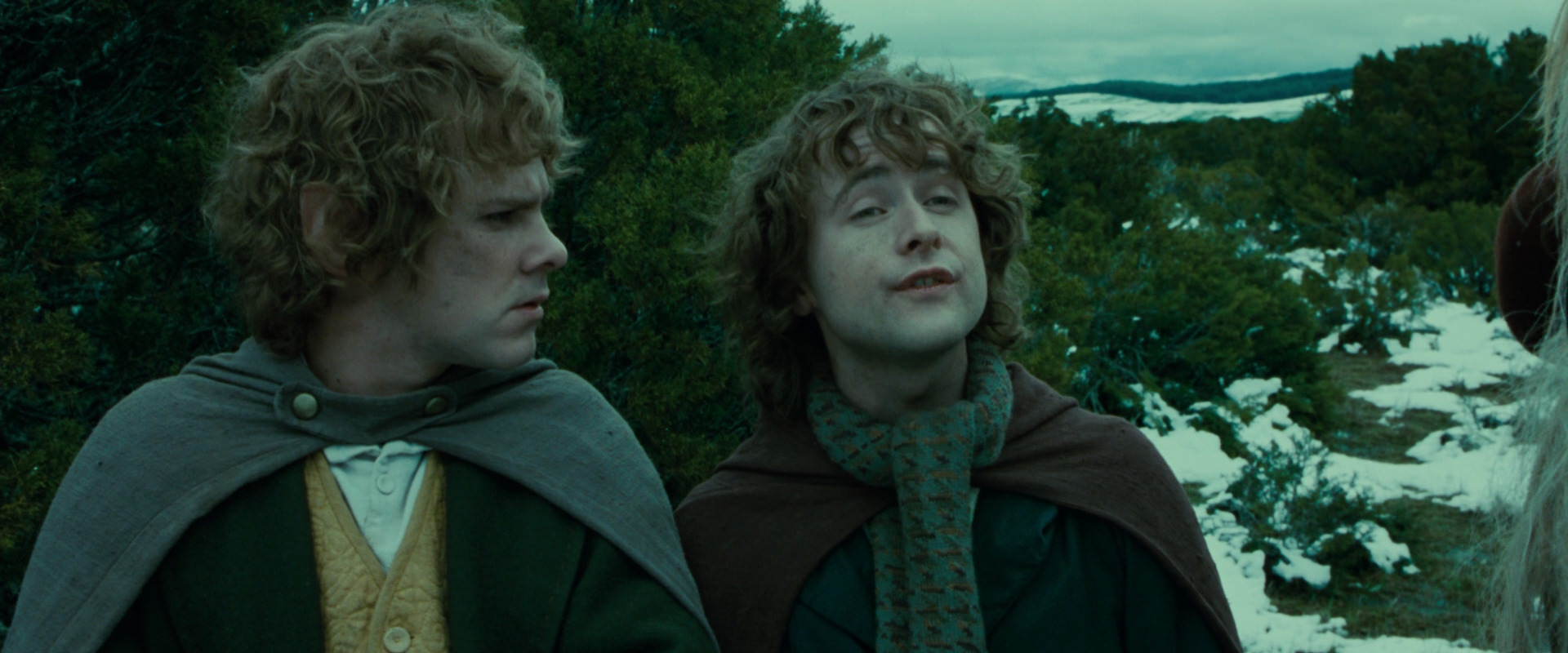 The Lord of the Rings: The Fellowship of the Ring (2001) screencap 7764