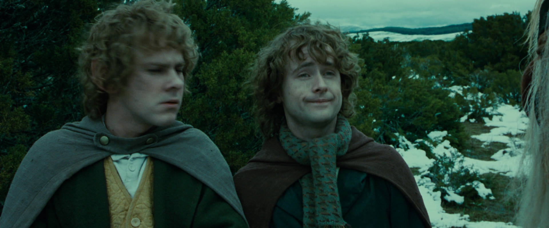 The Lord of the Rings: The Fellowship of the Ring (2001) movie still 7765
