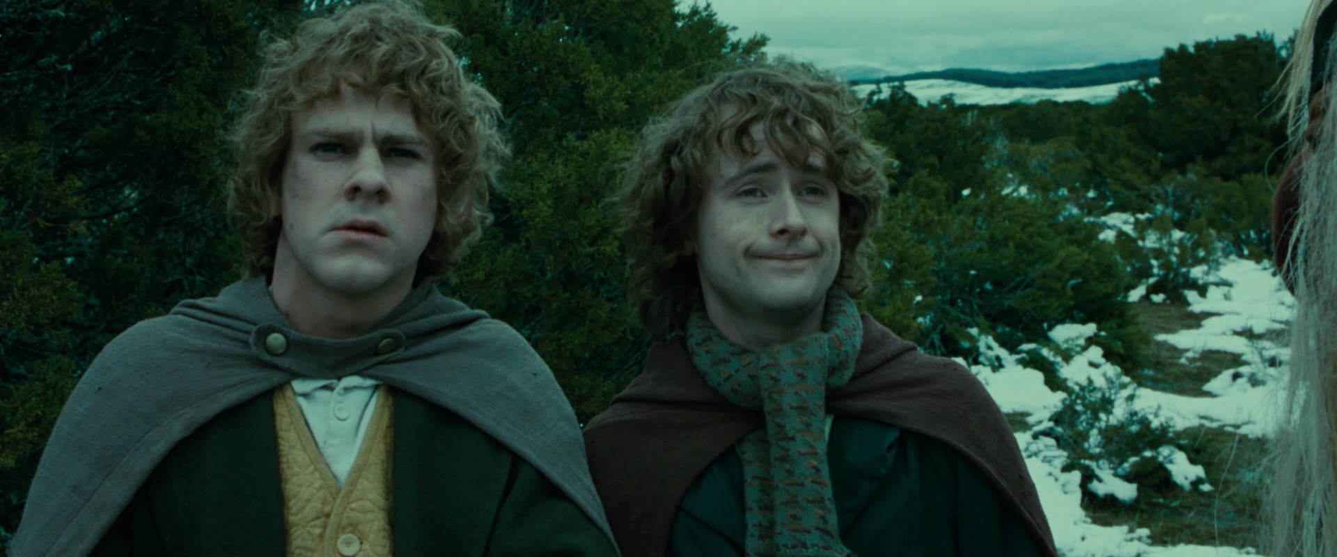 The Lord of the Rings: The Fellowship of the Ring (2001) HD screenshot 7766