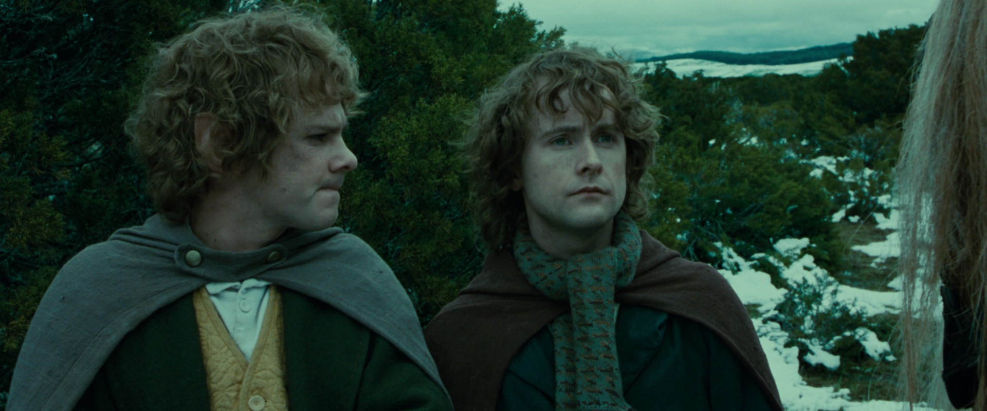 The Lord of the Rings: The Fellowship of the Ring (2001) HD screenshot 7772