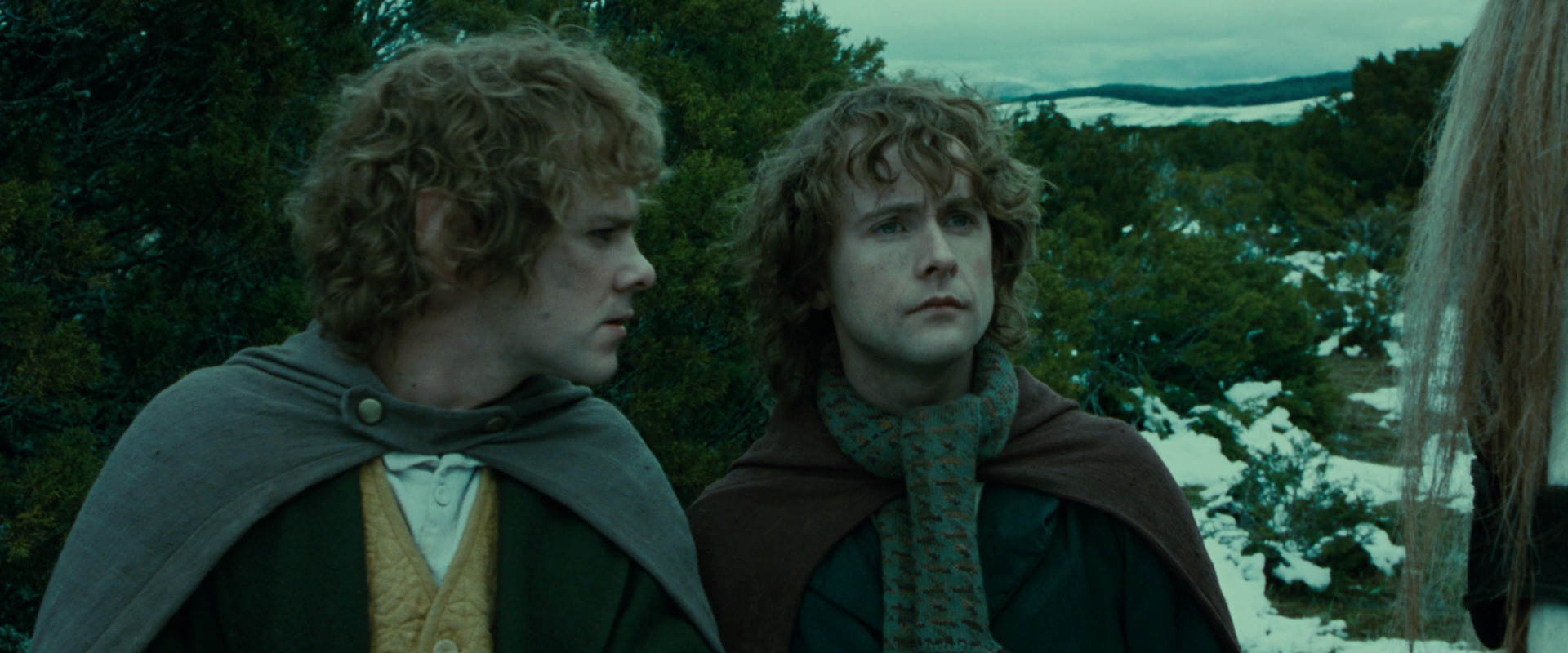 The Lord of the Rings: The Fellowship of the Ring (2001) screencap 7773
