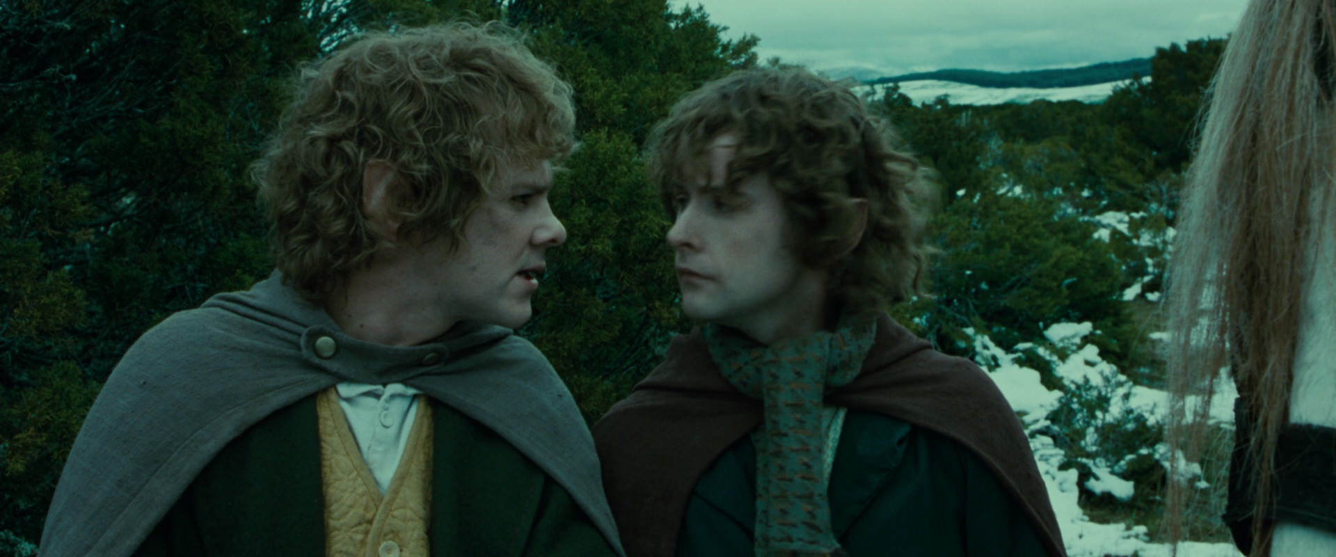 The Lord of the Rings: The Fellowship of the Ring (2001) movie still 7774
