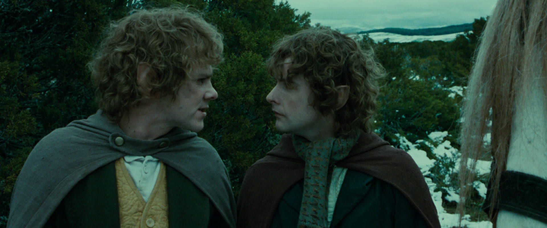 The Lord of the Rings: The Fellowship of the Ring (2001) HD screenshot 7775
