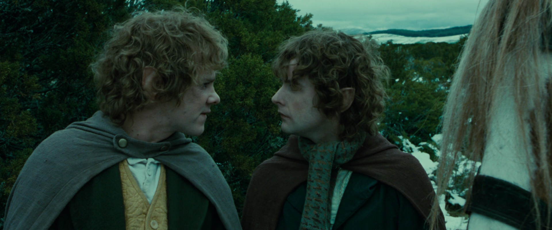The Lord of the Rings: The Fellowship of the Ring (2001) screencap 7776
