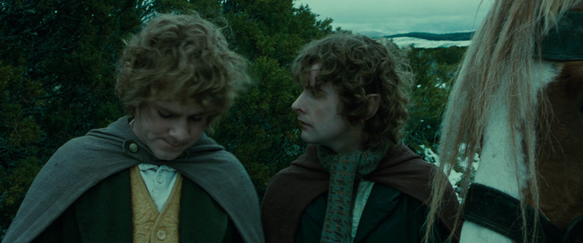 The Lord of the Rings: The Fellowship of the Ring (2001) movie still 7777