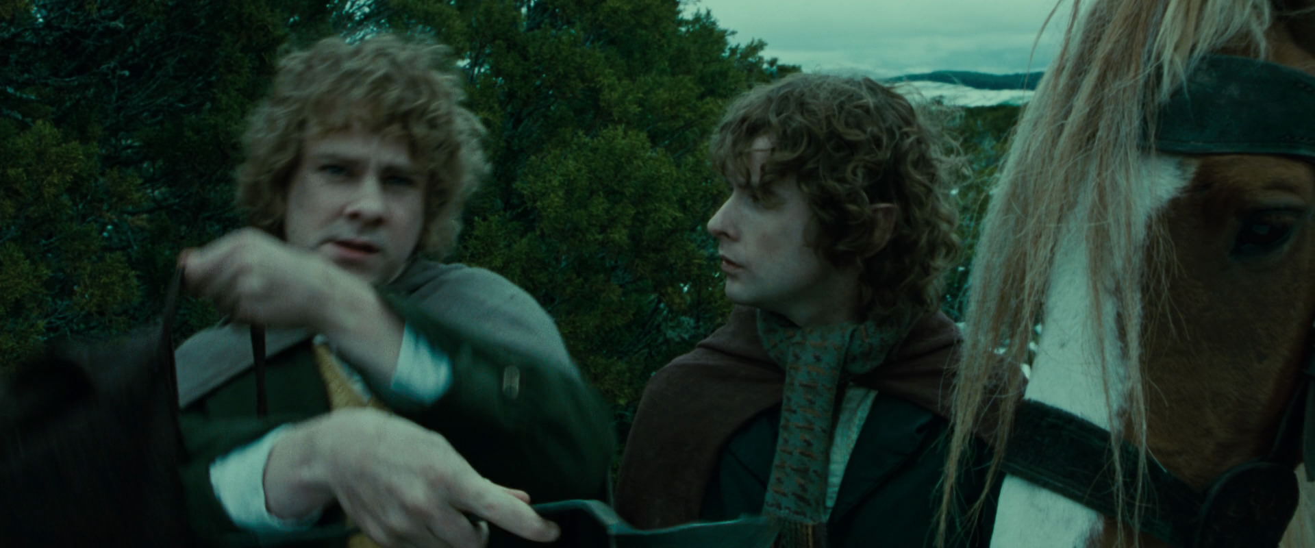 The Lord of the Rings: The Fellowship of the Ring (2001) screencap 7779