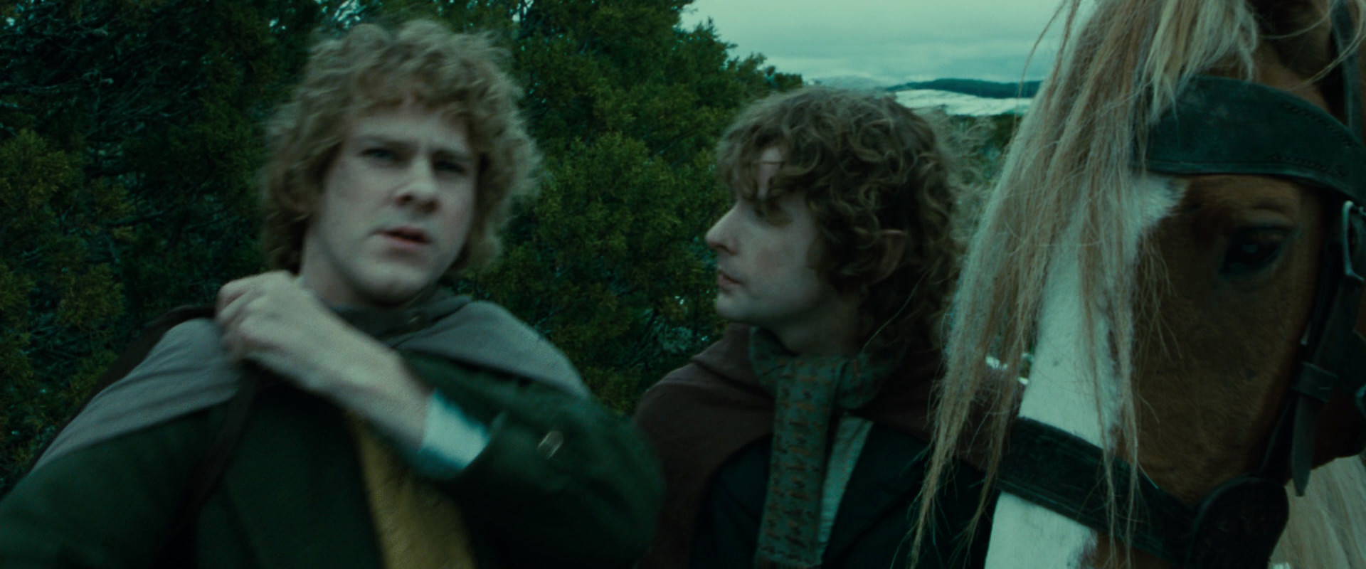 The Lord of the Rings: The Fellowship of the Ring (2001) movie still 7780