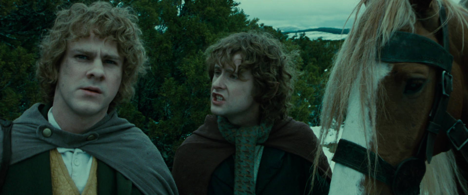 The Lord of the Rings: The Fellowship of the Ring (2001) HD screenshot 7781