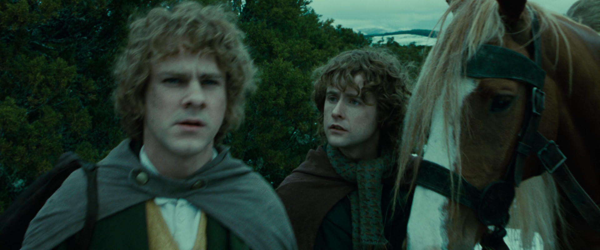 The Lord of the Rings: The Fellowship of the Ring (2001) screencap 7782