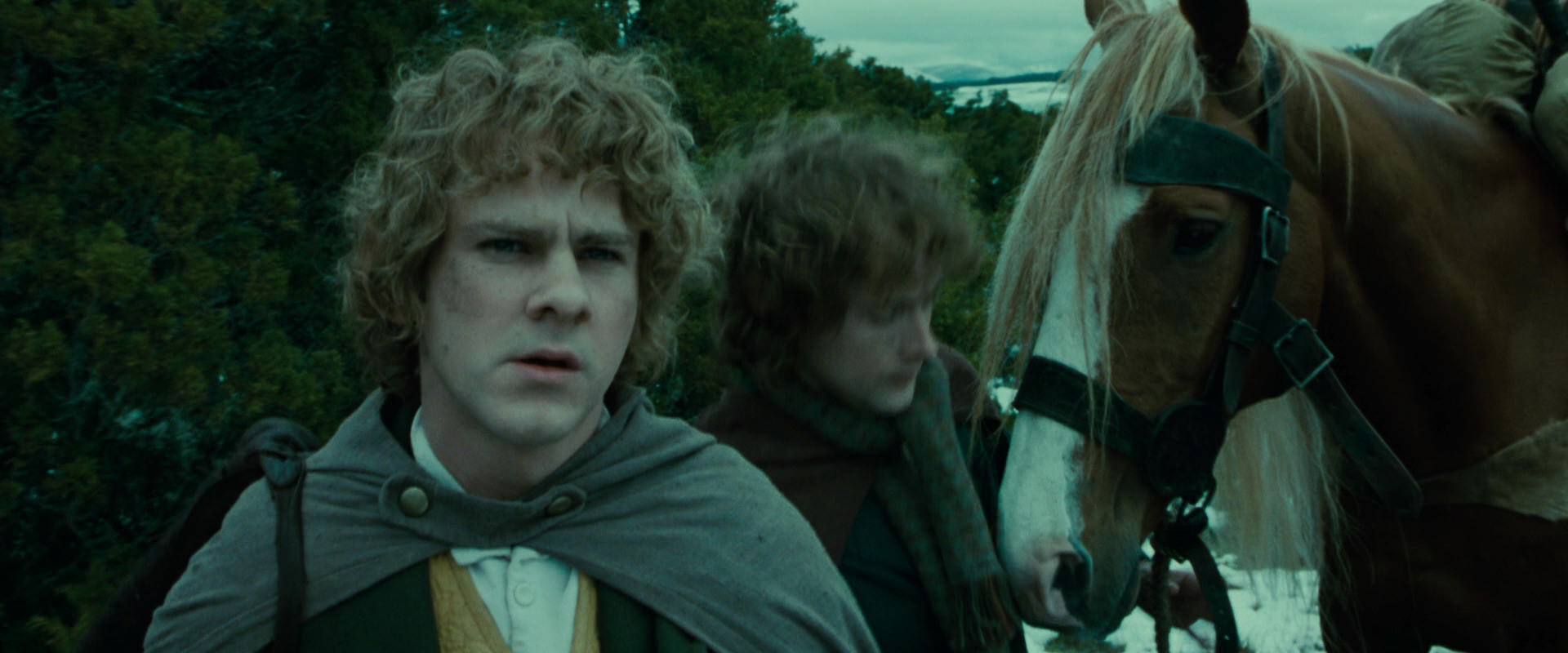 The Lord of the Rings: The Fellowship of the Ring (2001) movie still 7783