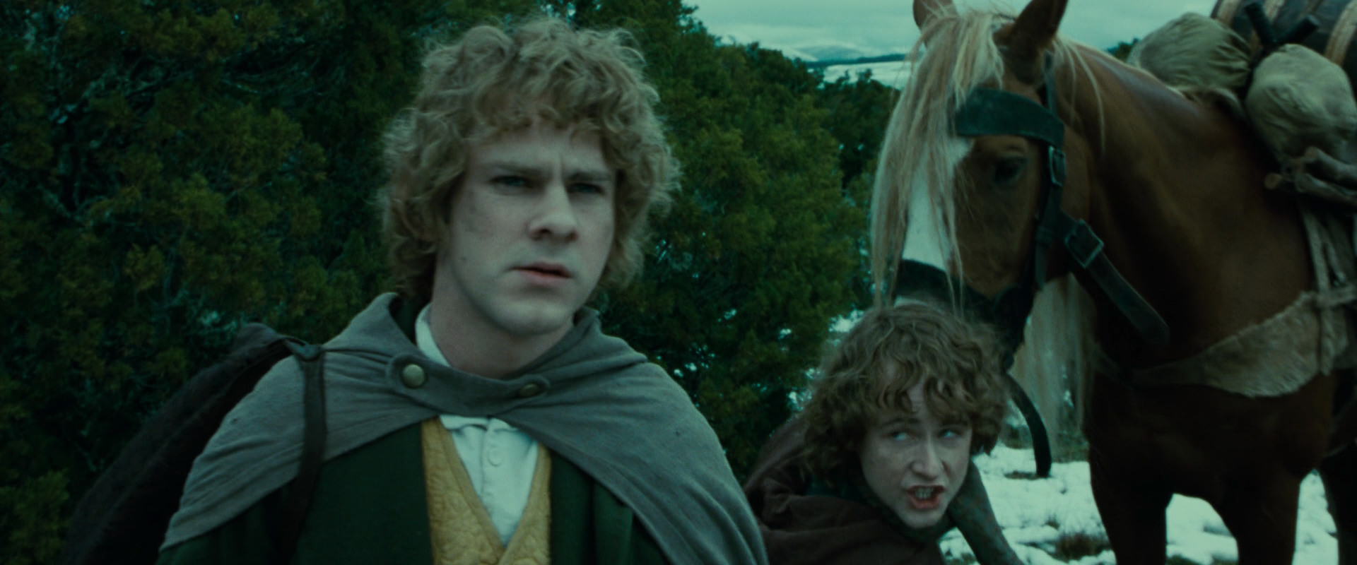 The Lord of the Rings: The Fellowship of the Ring (2001) HD screenshot 7784