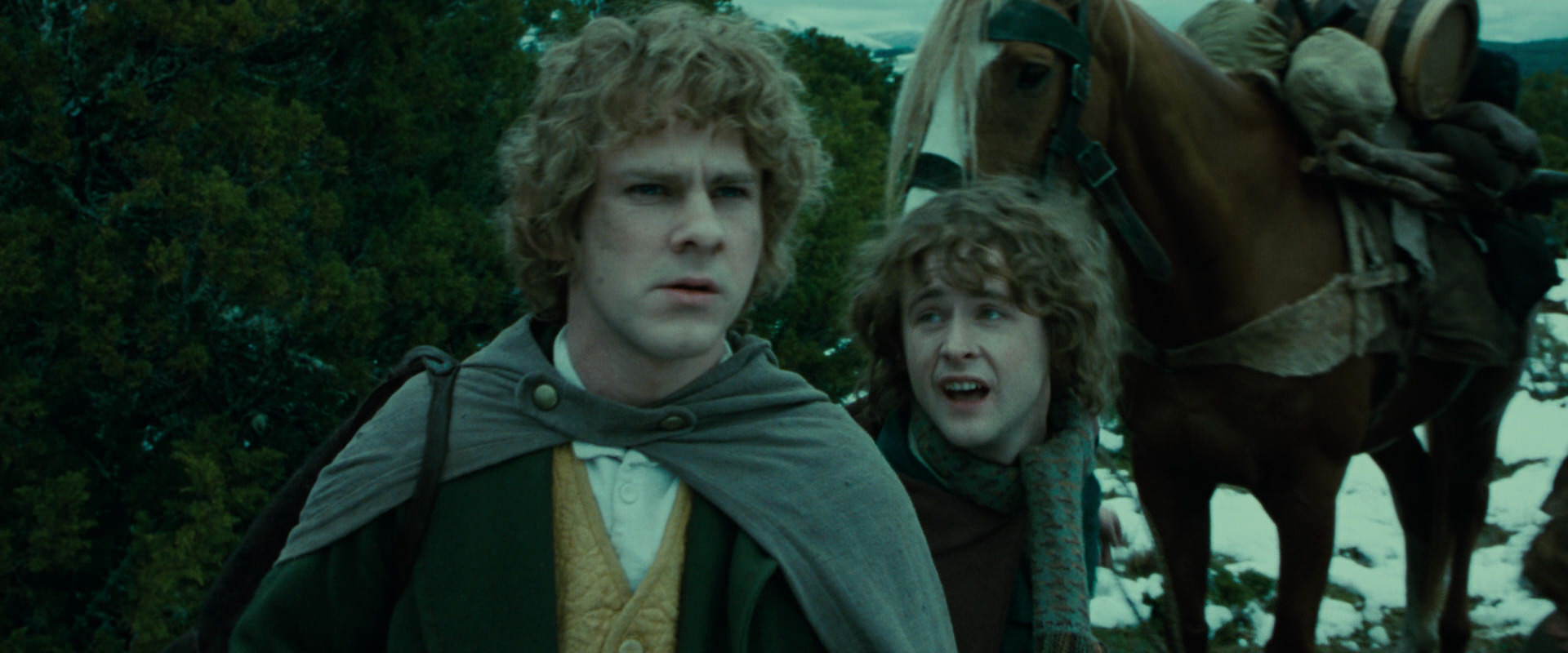 The Lord of the Rings: The Fellowship of the Ring (2001) screencap 7785