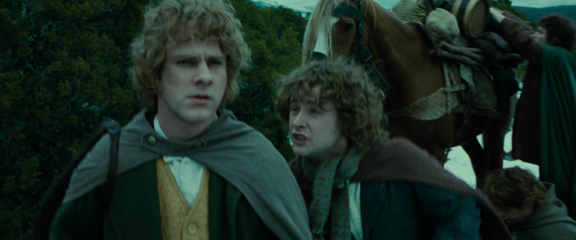 The Lord of the Rings: The Fellowship of the Ring (2001) movie still 7786