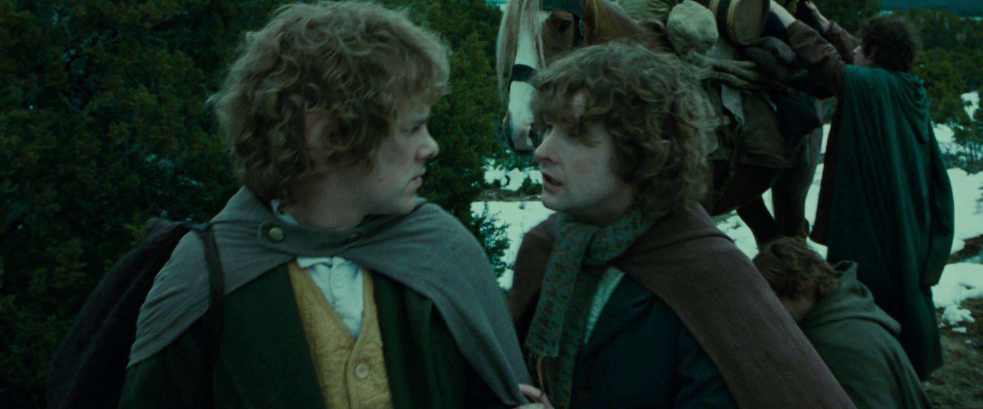 The Lord of the Rings: The Fellowship of the Ring (2001) HD screenshot 7787