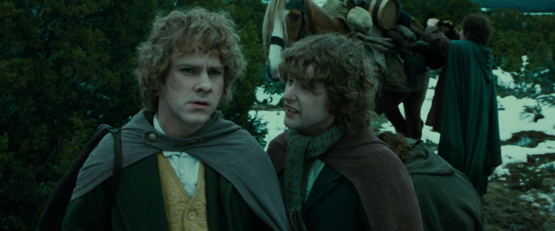 The Lord of the Rings: The Fellowship of the Ring (2001) screencap 7788
