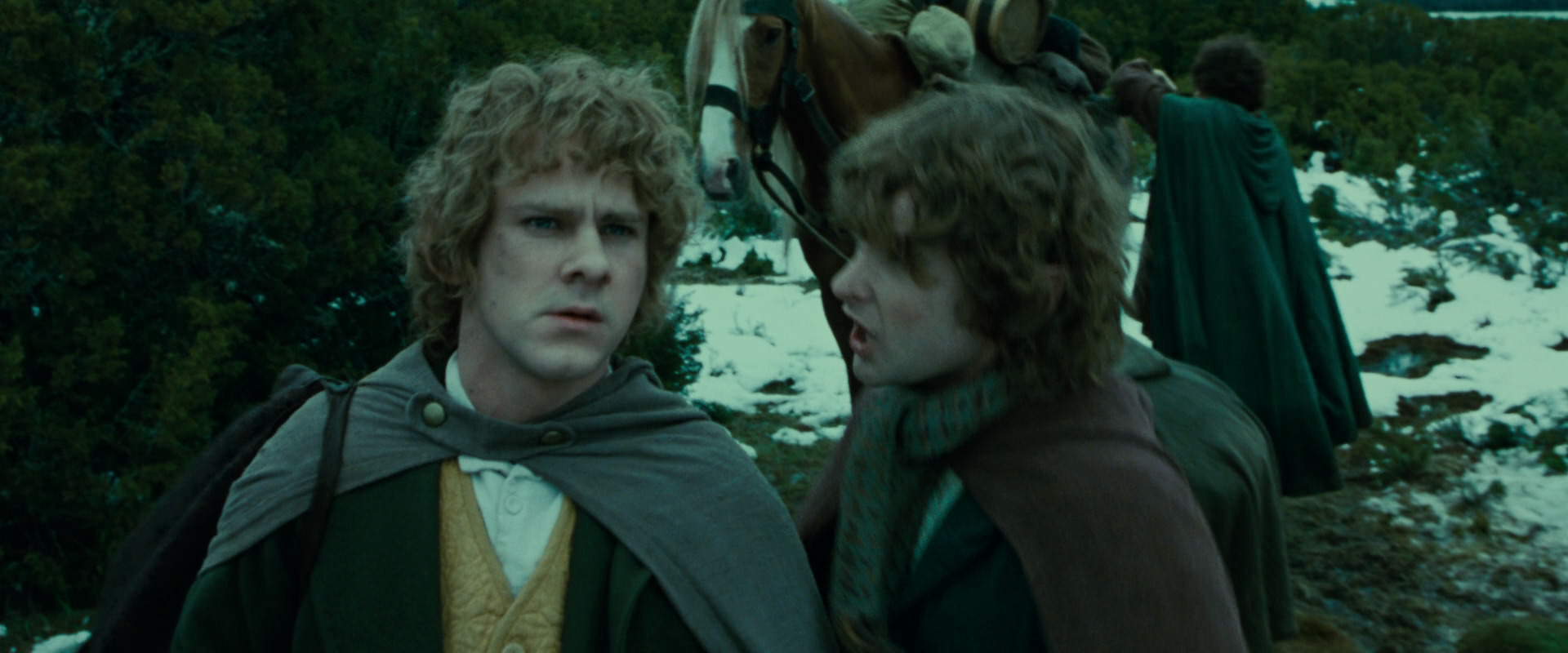 The Lord of the Rings: The Fellowship of the Ring (2001) movie still 7789