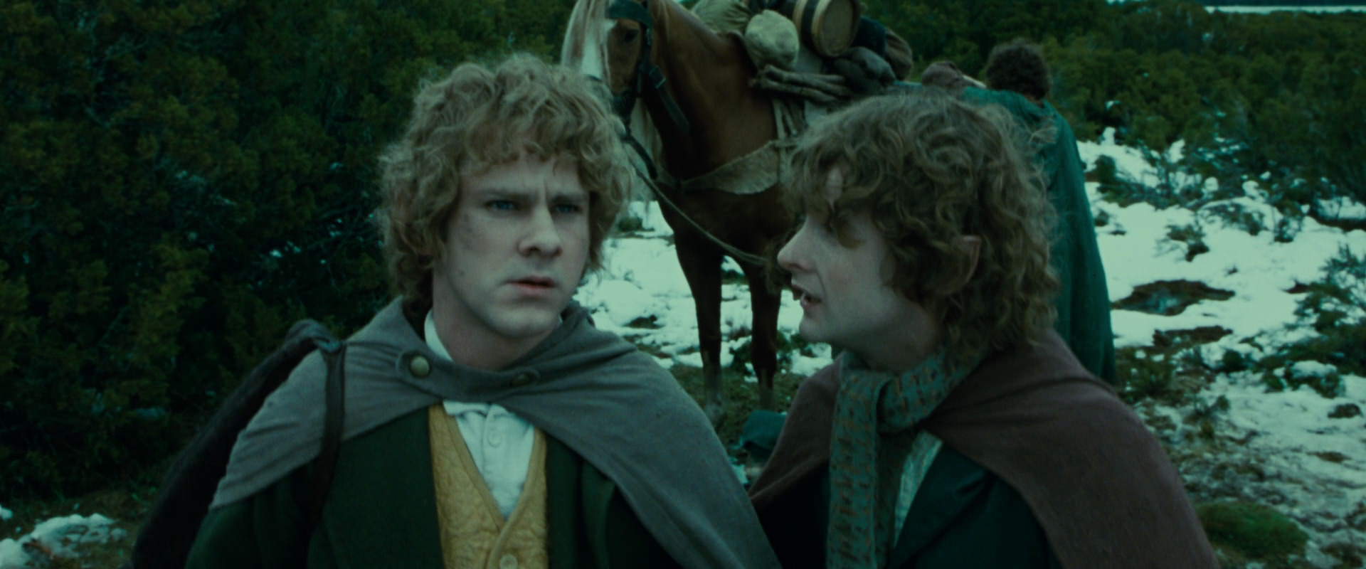 The Lord of the Rings: The Fellowship of the Ring (2001) HD screenshot 7790