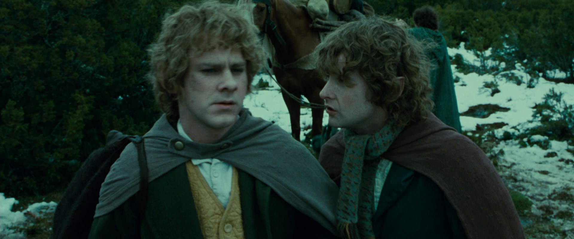 The Lord of the Rings: The Fellowship of the Ring (2001) screencap 7791