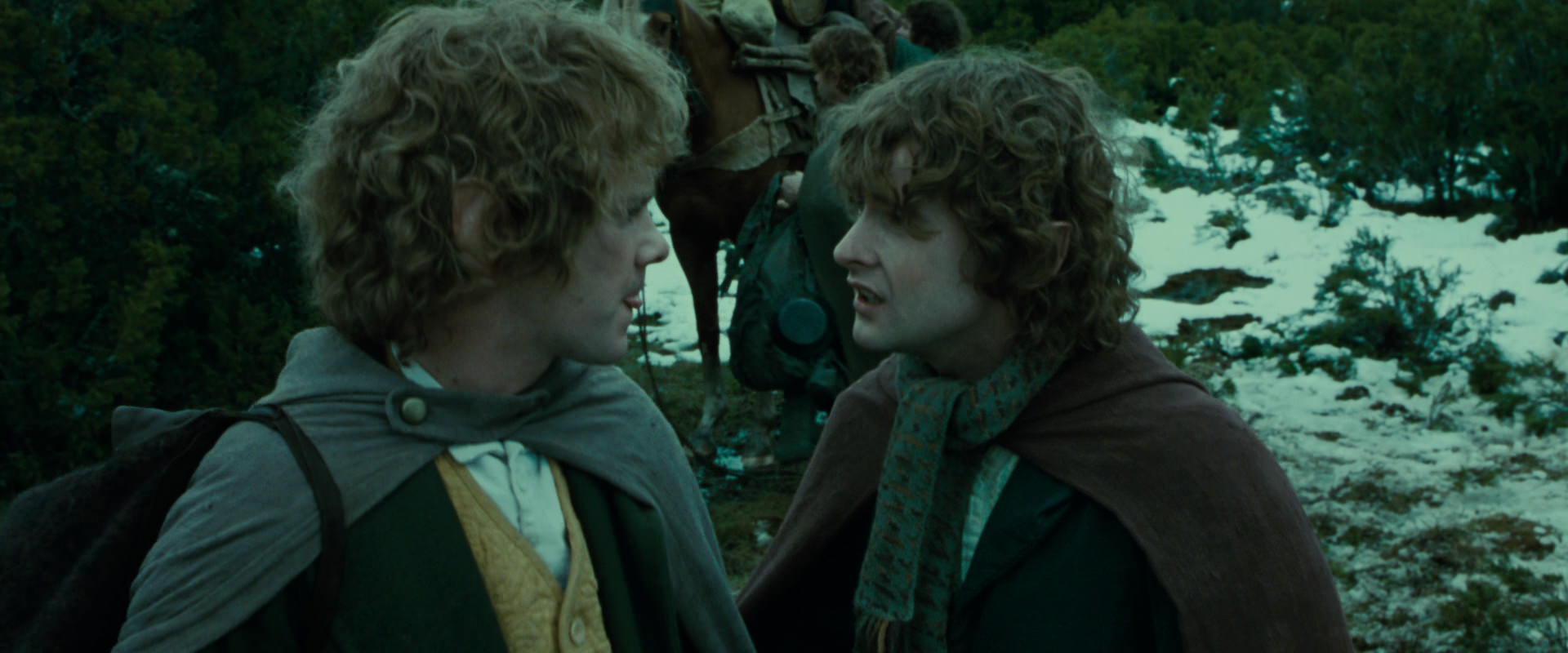 The Lord of the Rings: The Fellowship of the Ring (2001) screencap 7794