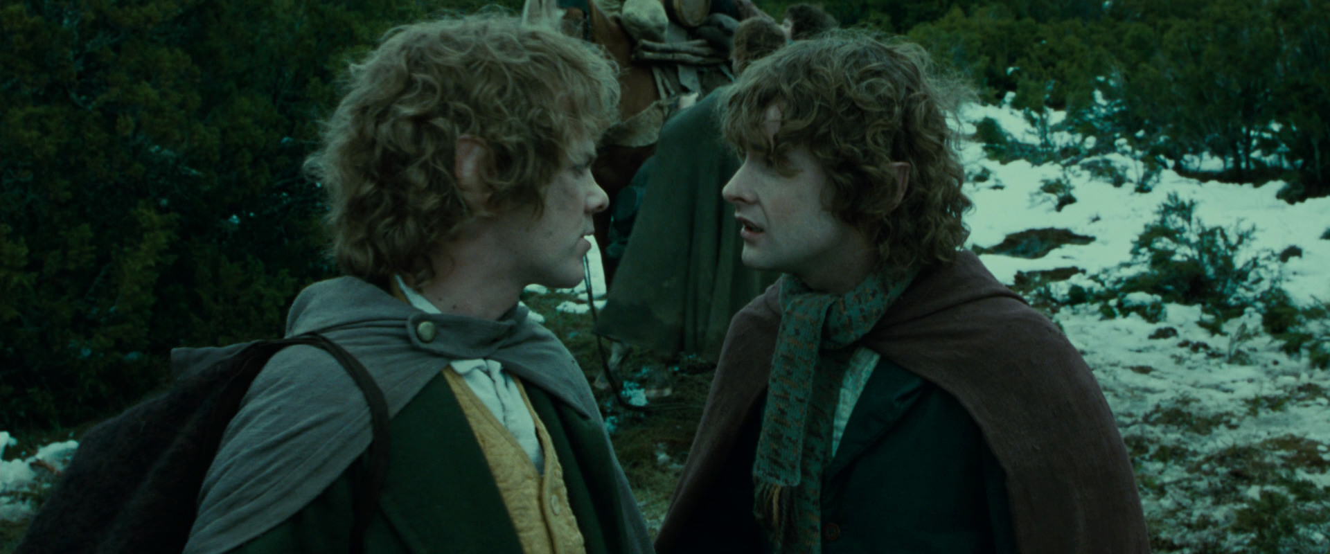 The Lord of the Rings: The Fellowship of the Ring (2001) movie still 7795