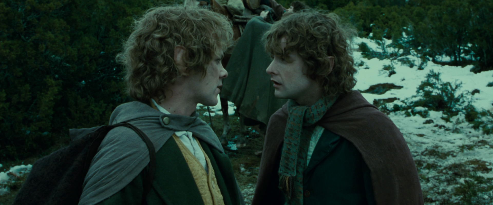 The Lord of the Rings: The Fellowship of the Ring (2001) HD screenshot 7796