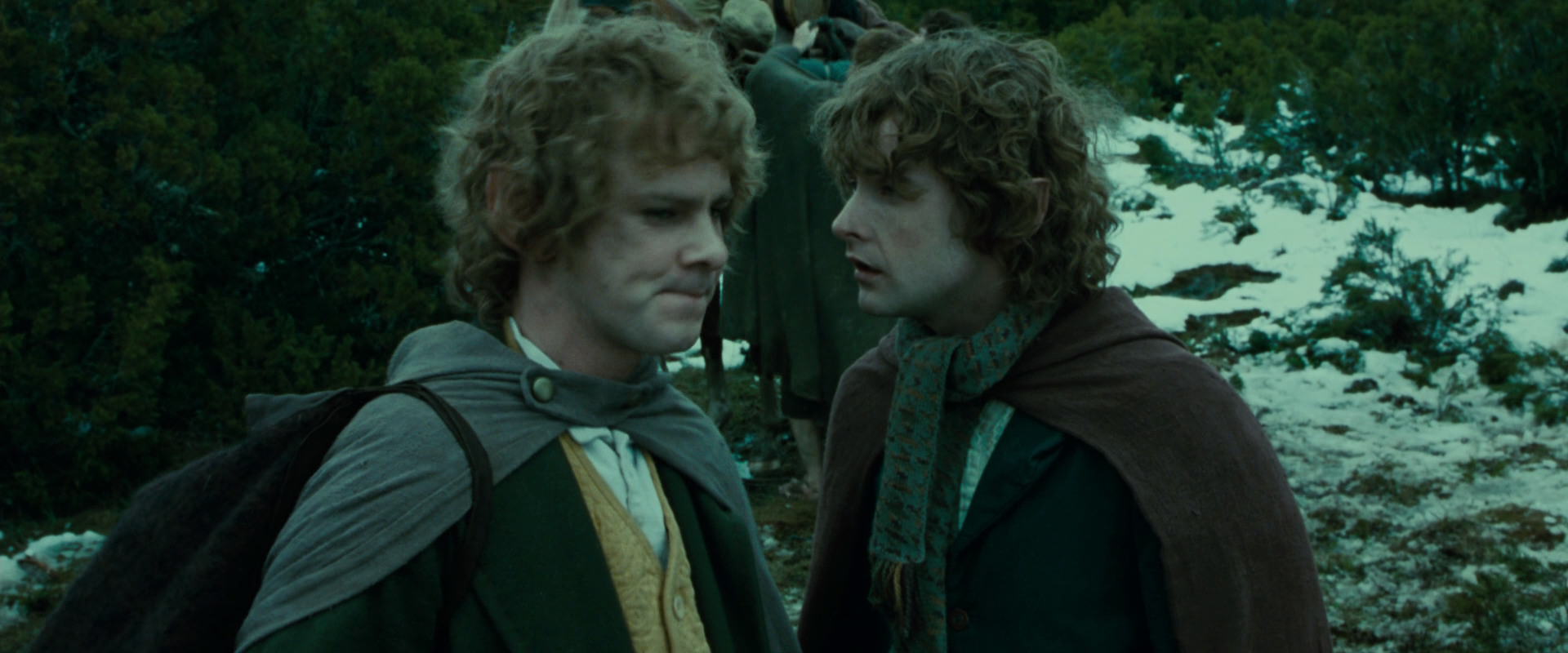 The Lord of the Rings: The Fellowship of the Ring (2001) screencap 7797