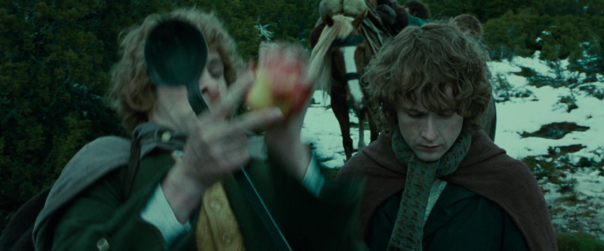 The Lord of the Rings: The Fellowship of the Ring (2001) screencap 7800