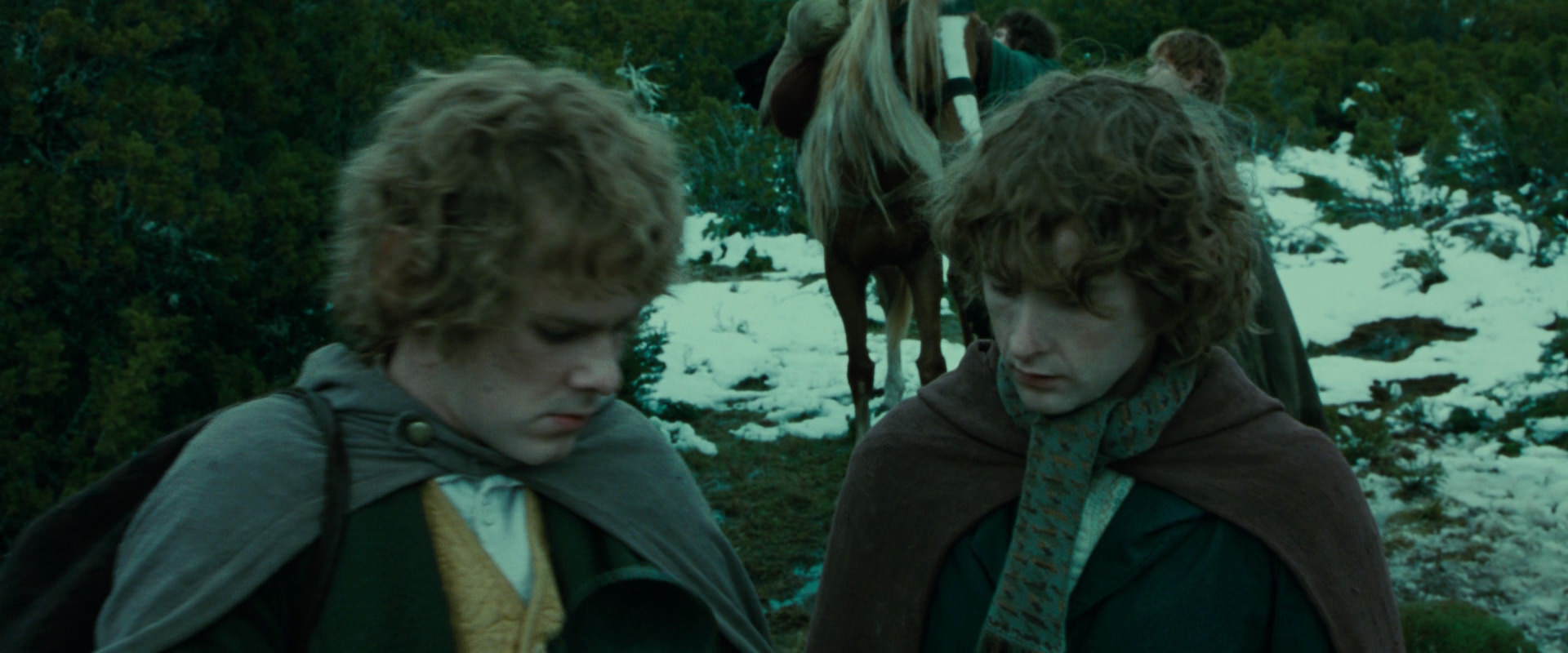 The Lord of the Rings: The Fellowship of the Ring (2001) movie still 7801