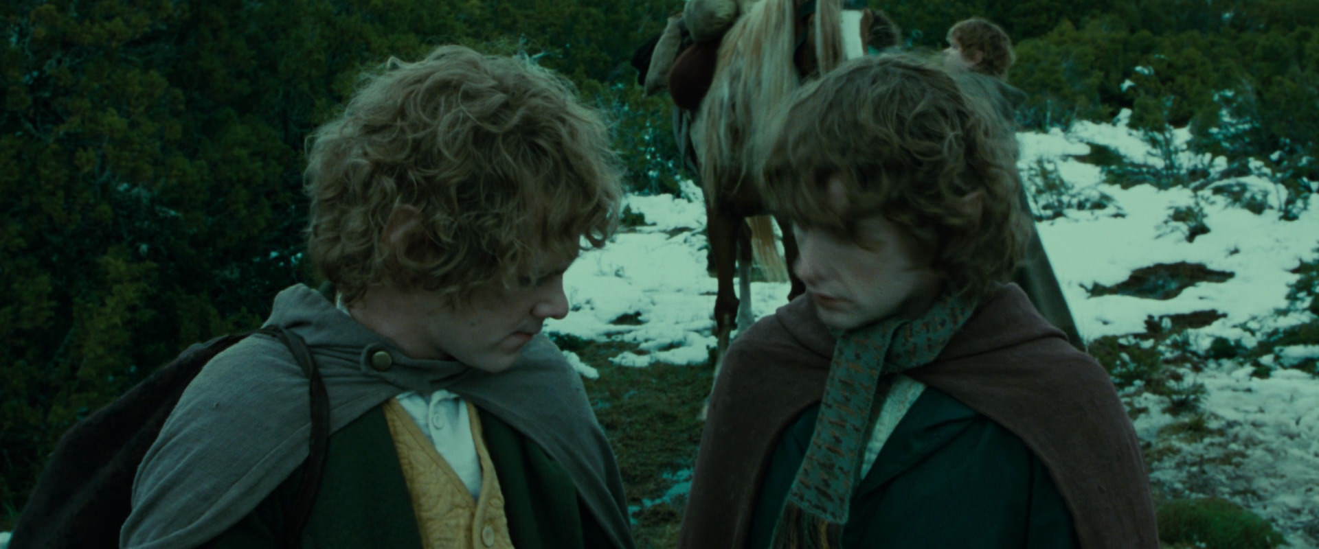 The Lord of the Rings: The Fellowship of the Ring (2001) HD screenshot 7802
