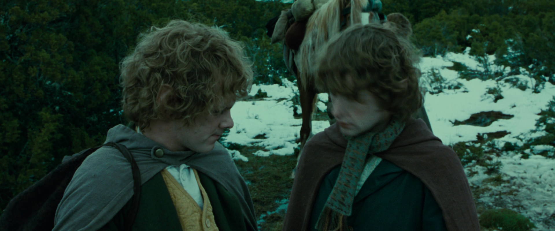 The Lord of the Rings: The Fellowship of the Ring (2001) screencap 7803