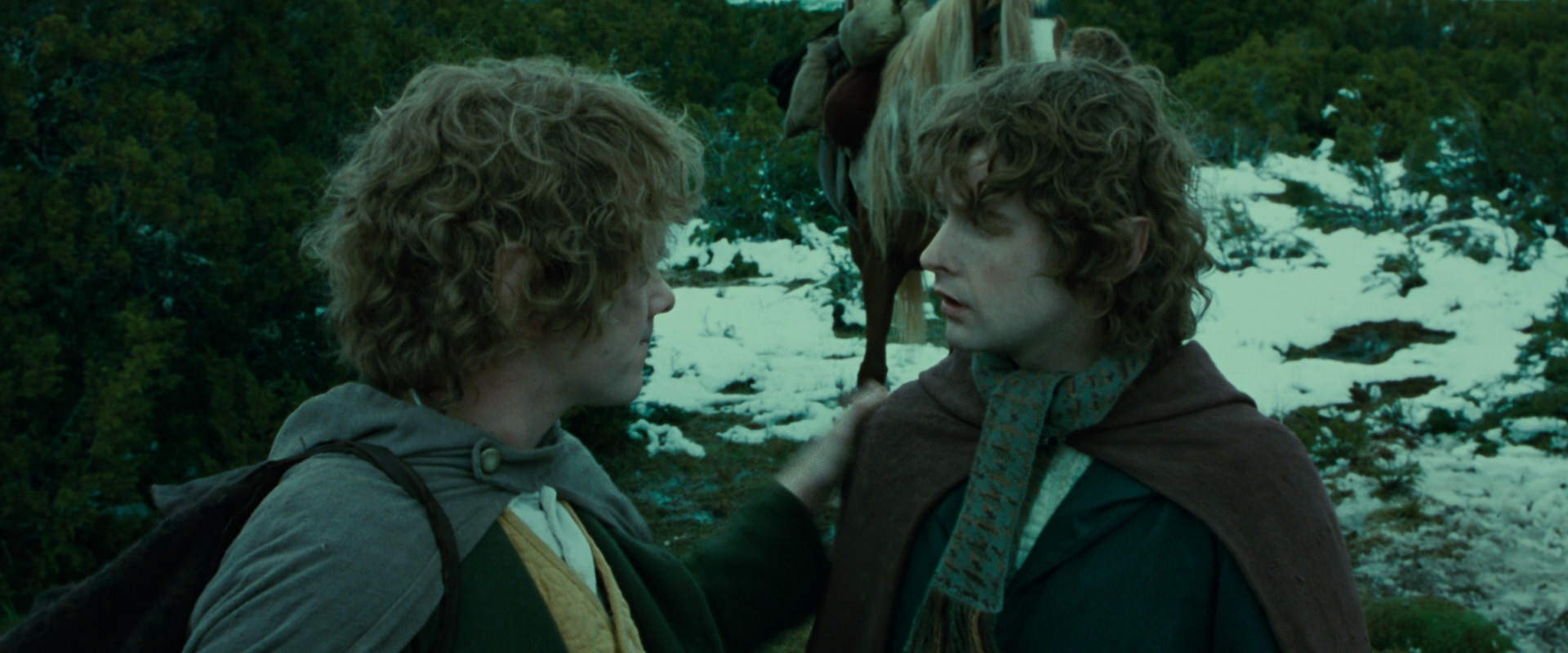 The Lord of the Rings: The Fellowship of the Ring (2001) movie still 7804