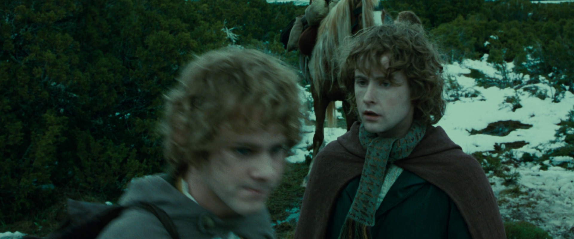 The Lord of the Rings: The Fellowship of the Ring (2001) HD screenshot 7805