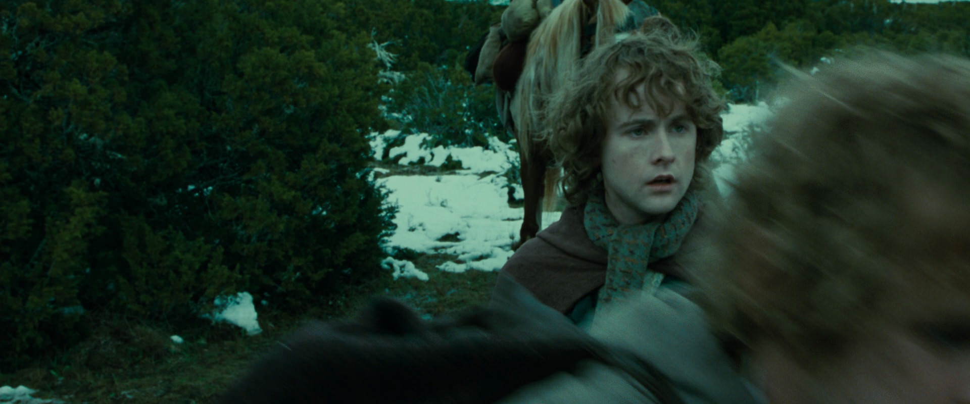 The Lord of the Rings: The Fellowship of the Ring (2001) screencap 7806