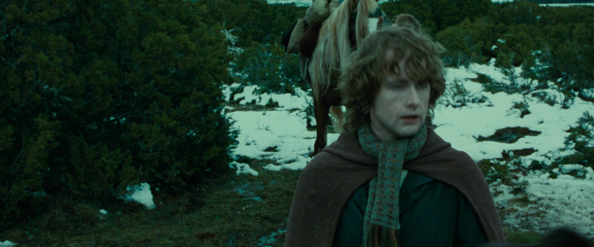 The Lord of the Rings: The Fellowship of the Ring (2001) movie still 7807