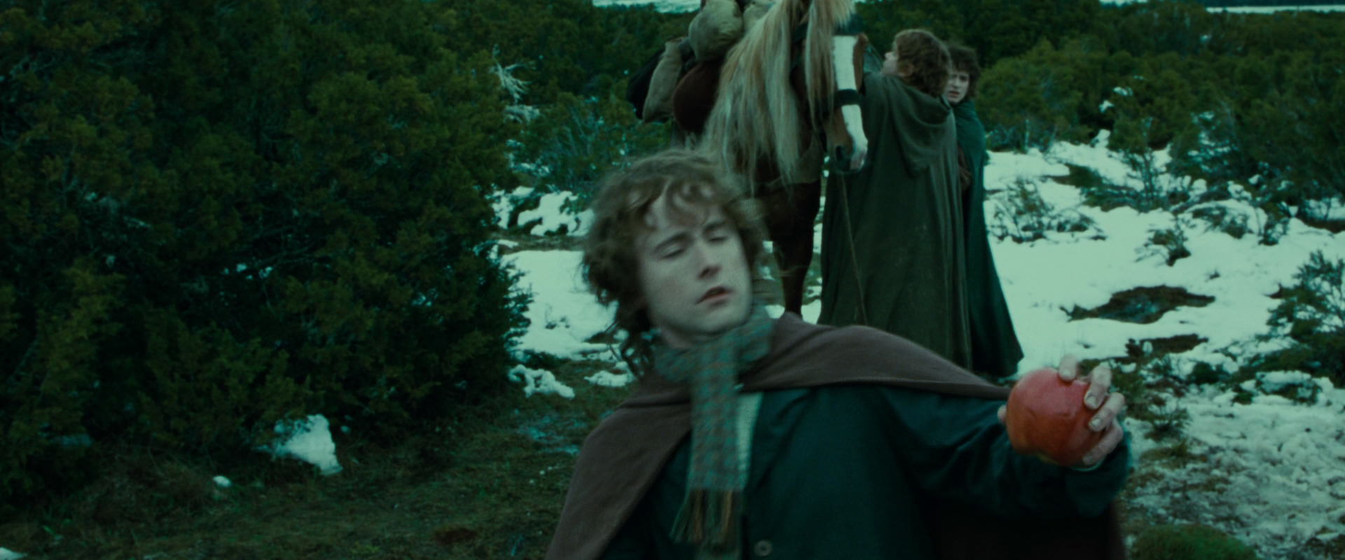The Lord of the Rings: The Fellowship of the Ring (2001) HD screenshot 7808