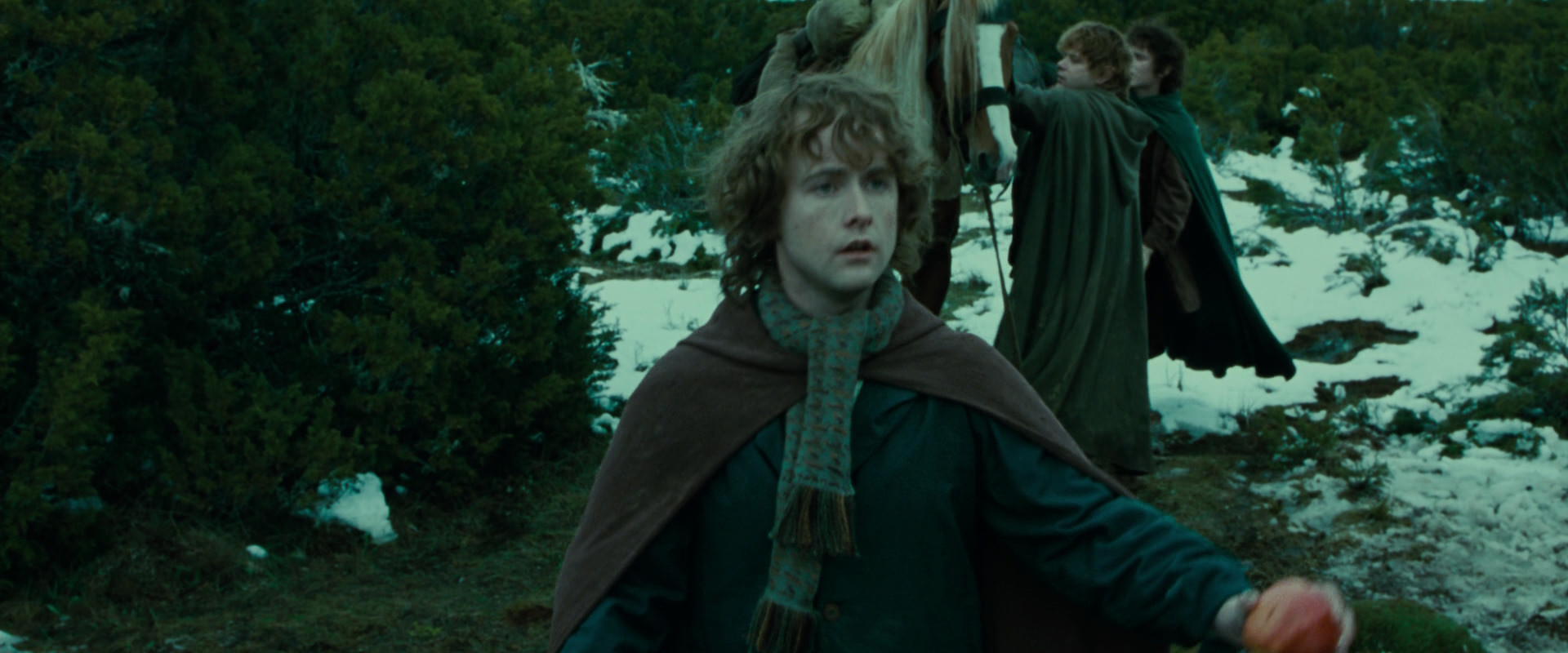 The Lord of the Rings: The Fellowship of the Ring (2001) screencap 7809