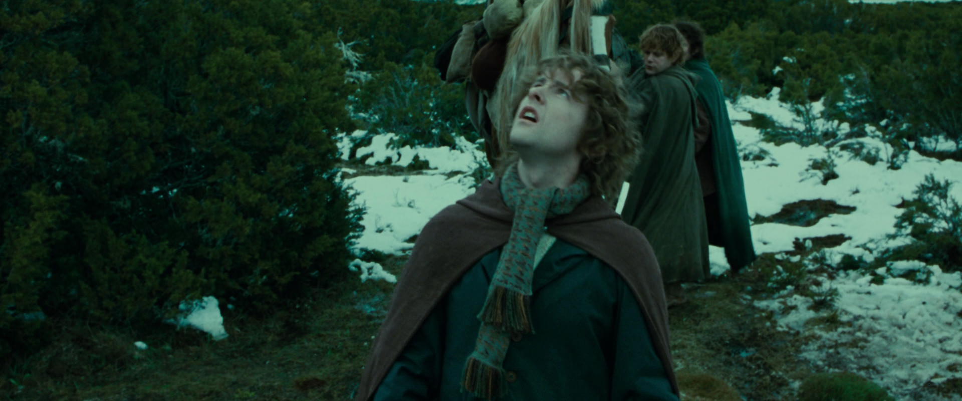 The Lord of the Rings: The Fellowship of the Ring (2001) movie still 7810