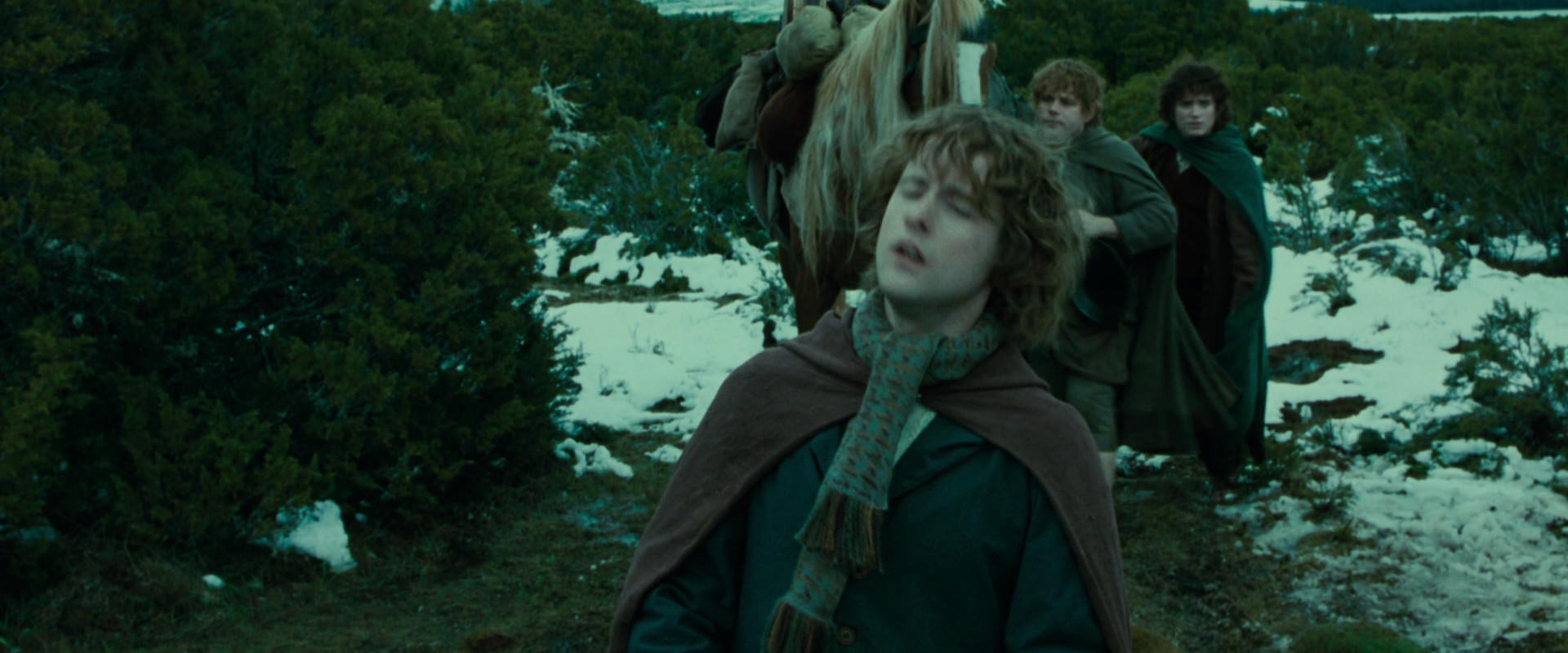 The Lord of the Rings: The Fellowship of the Ring (2001) HD screenshot 7811