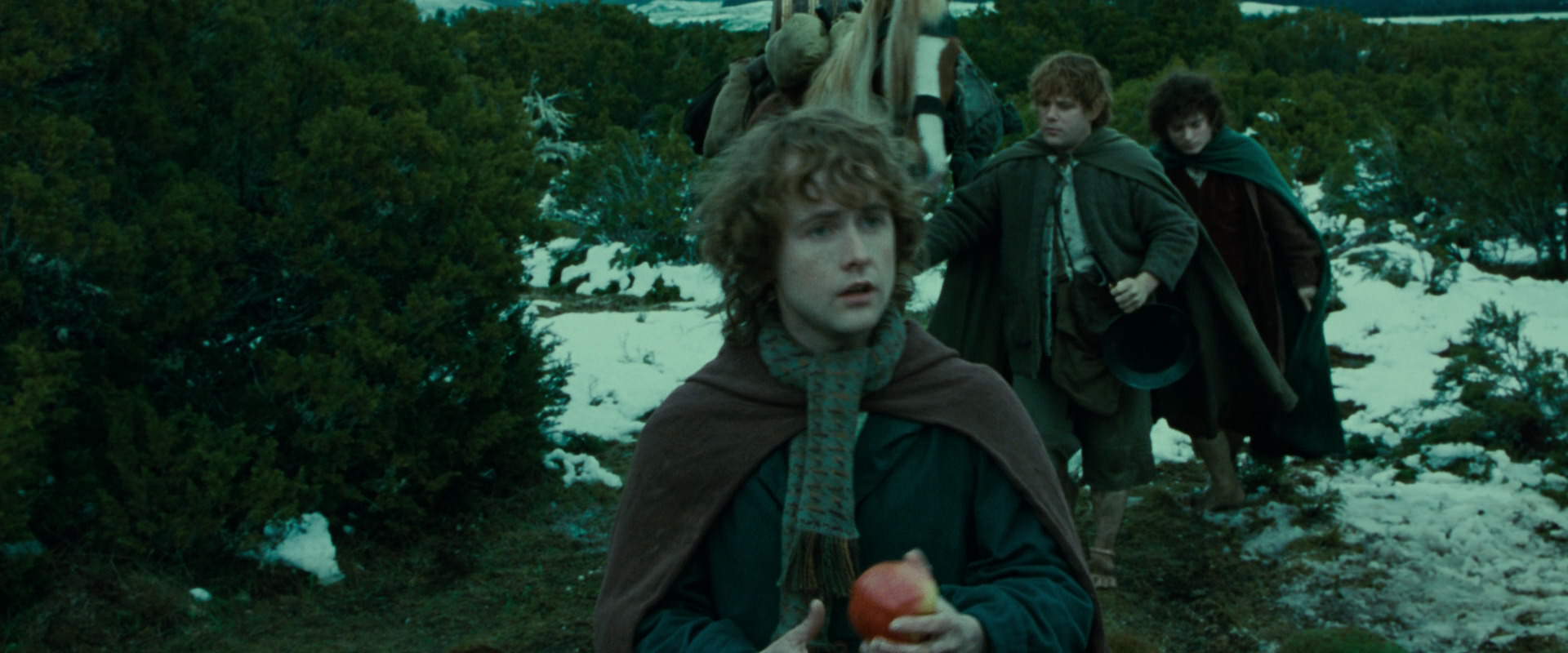 The Lord of the Rings: The Fellowship of the Ring (2001) screencap 7812
