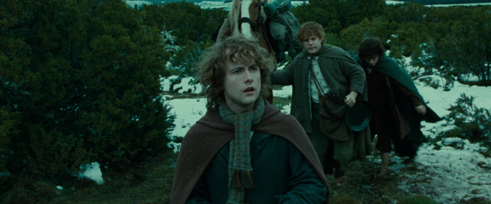 The Lord of the Rings: The Fellowship of the Ring (2001) movie still 7813