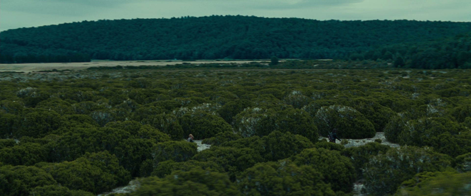 The Lord of the Rings: The Fellowship of the Ring (2001) HD screenshot 7814