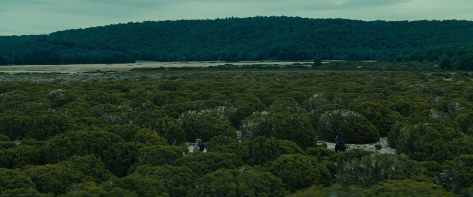 The Lord of the Rings: The Fellowship of the Ring (2001) screencap 7815