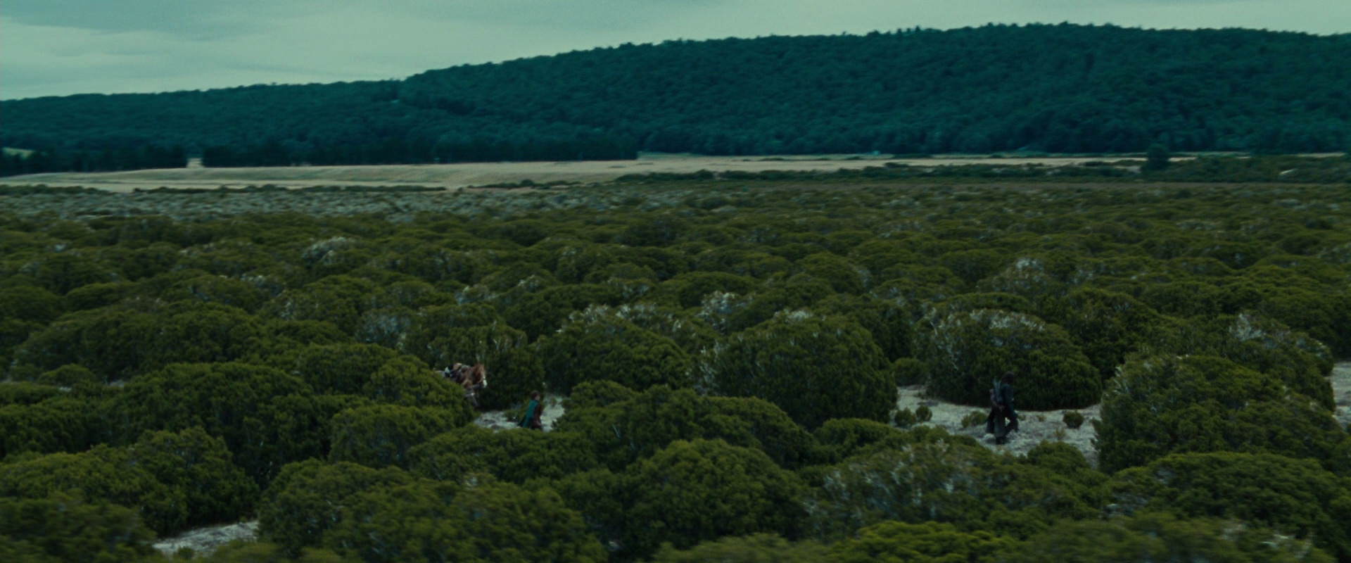 The Lord of the Rings: The Fellowship of the Ring (2001) HD screenshot 7817