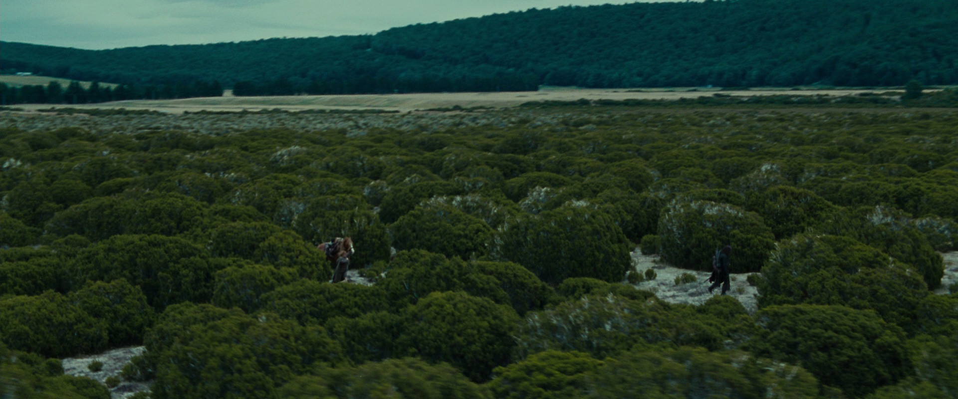 The Lord of the Rings: The Fellowship of the Ring (2001) screencap 7818