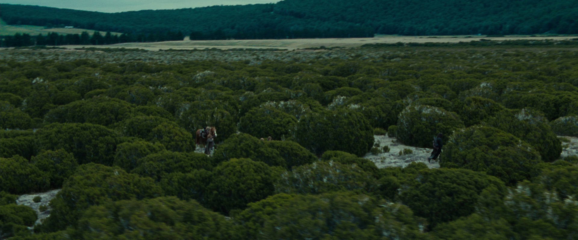 The Lord of the Rings: The Fellowship of the Ring (2001) movie still 7819